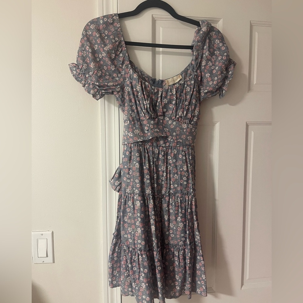 Altard State short floral dress with tie and zipper in the back